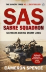 Image for Sabre squadron