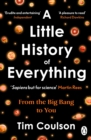 Image for A Little History of Everything