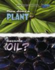Image for How Does a Plant Become Oil?