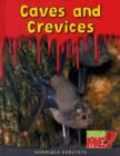 Image for Caves and Crevices