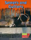 Image for Sewers and Gutters