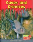 Image for Caves and Crevices