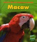 Image for Macaw