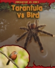 Image for Tarantula vs Bird