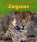 Image for Rainforest Animals: Jaguar