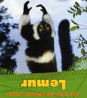 Image for Rainforest Animals: Lemur