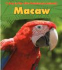 Image for Rainforest Animals: Macaw
