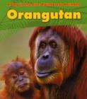 Image for Rainforest Animals: Orangutan