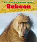 Image for Baboon