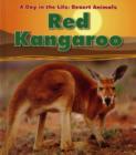 Image for Red Kangaroo