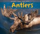 Image for Antlers