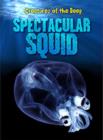 Image for Spectacular Squid