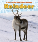 Image for Reindeer