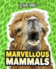 Image for Marvellous Mammals