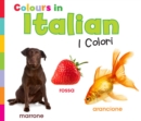 Image for Colours in Italian