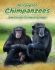 Image for A troop of chimpanzees and other primate groups