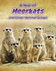 Image for A mob of meerkats and other mammal groups
