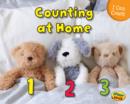 Image for Counting at Home
