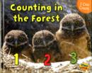 Image for I Can Count! : Pack A of 4