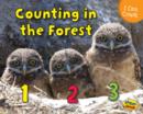 Image for Counting in the Forest