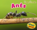 Image for Creepy Crawlies Pack A of 4
