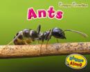 Image for Creepy Crawlies Pack A of 3