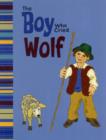 Image for The boy who cried wolf  : an Aesop&#39;s fable