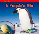 Image for A Penguin&#39;s Life