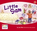 Image for Little Sam (6 Pack)