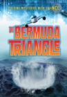 Image for Bermuda Triangle