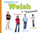 Image for Families in Welsh: Y Teuluoedd