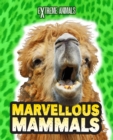 Image for Marvellous mammals