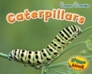 Image for Caterpillars