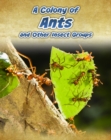 Image for A colony of ants and other insect groups