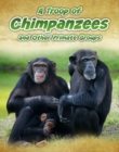 Image for A troop of chimpanzees and other primate groups