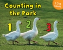 Image for Counting at the park