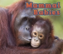 Image for Mammal Babies