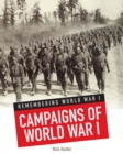Image for Campaigns of World War I