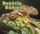 Image for Reptile babies