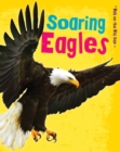 Image for Soaring eagles