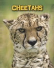 Image for Cheetahs