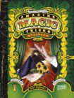 Image for Amazing magic tricksBeginner level