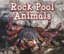Image for Rock Pool Animals