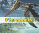Image for Pterodactyl