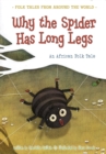 Image for Why the spider has long legs  : an African folk tale