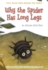 Image for Why the spider has long legs: an African folk tale