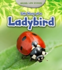 Image for Life Story of a Ladybird