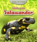 Image for Life Story of a Salamander