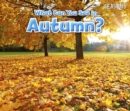 Image for What can you see in autumn?