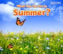 Image for What can you see in summer?